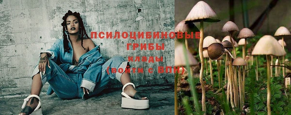 марки nbome Гусев