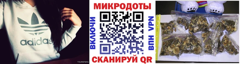 Псилоцибиновые грибы Magic Shrooms  Купить закладки  Нововоронеж 